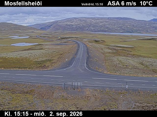 mosfellsheidi_2-1788369949.jpg