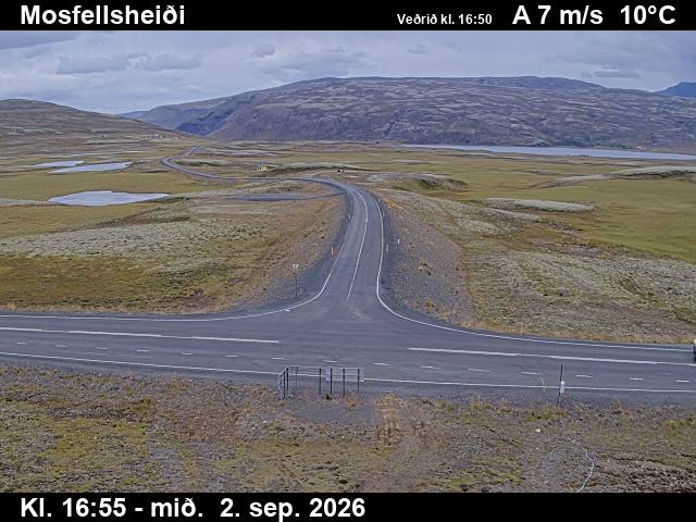 mosfellsheidi_2-1788375685.jpg