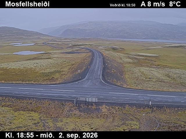 mosfellsheidi_2-1788382876.jpg
