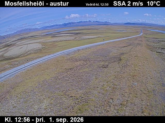 mosfellsheidi_3-1788275142.jpg