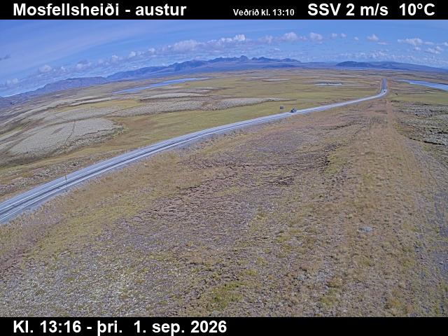 mosfellsheidi_3-1788276377.jpg