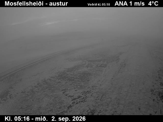 mosfellsheidi_3-1788333956.jpg