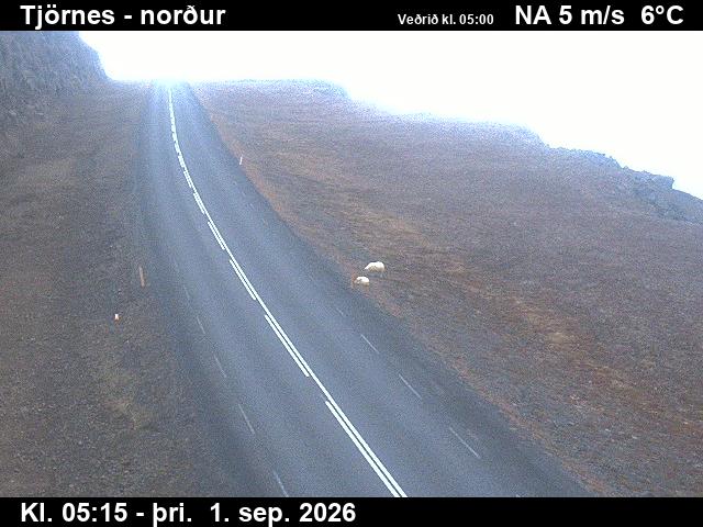 tjornes_1-1788247599.jpg