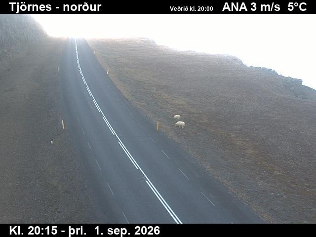 tjornes_1-1788301562.jpg