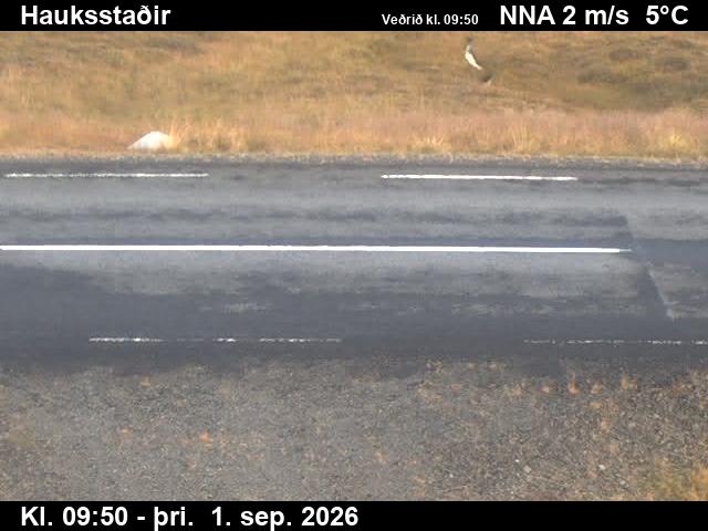 vopnafjardarleid_2-1788264100.jpg