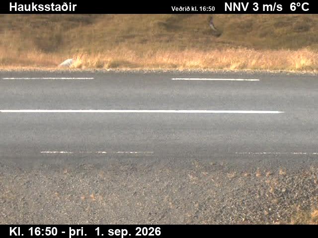 vopnafjardarleid_2-1788289273.jpg