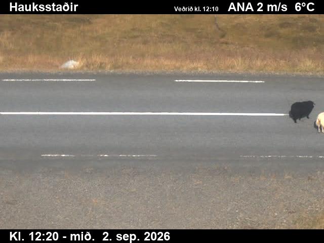 vopnafjardarleid_2-1788359129.jpg