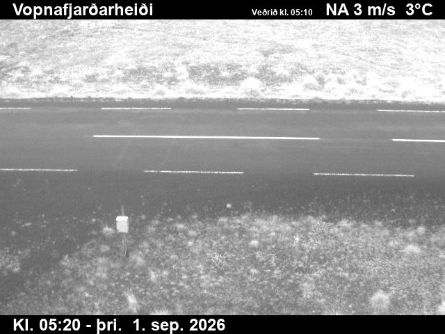vopnafjardarheidi_2-1788247545.jpg
