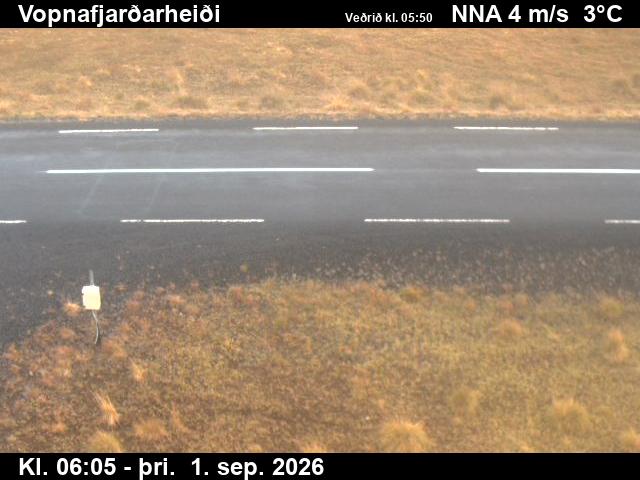 vopnafjardarheidi_2-1788249977.jpg