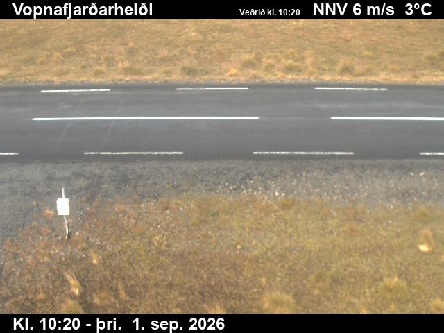 vopnafjardarheidi_2-1788265583.jpg