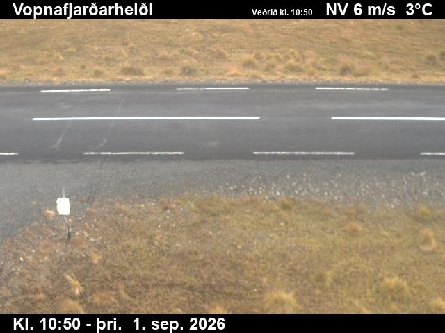 vopnafjardarheidi_2-1788267709.jpg