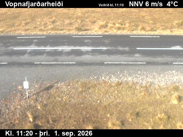 vopnafjardarheidi_2-1788269152.jpg