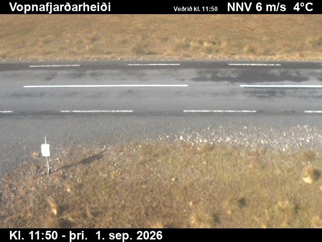vopnafjardarheidi_2-1788271244.jpg