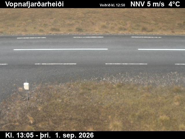 vopnafjardarheidi_2-1788275142.jpg
