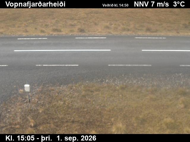 vopnafjardarheidi_2-1788282362.jpg