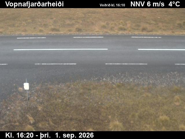 vopnafjardarheidi_2-1788287144.jpg