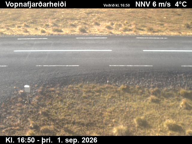 vopnafjardarheidi_2-1788289300.jpg