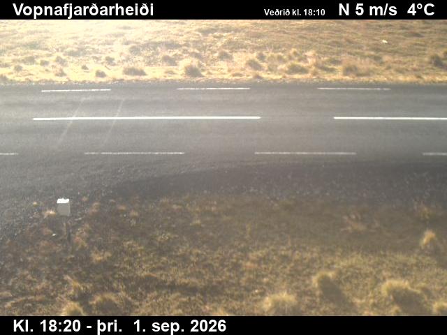 vopnafjardarheidi_2-1788294358.jpg