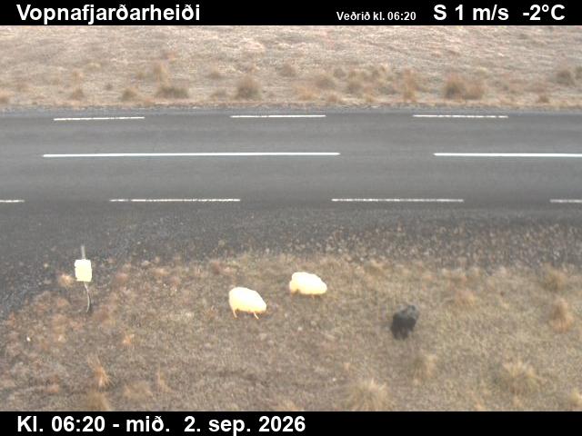 vopnafjardarheidi_2-1788337688.jpg