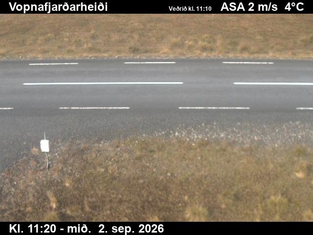 vopnafjardarheidi_2-1788355558.jpg