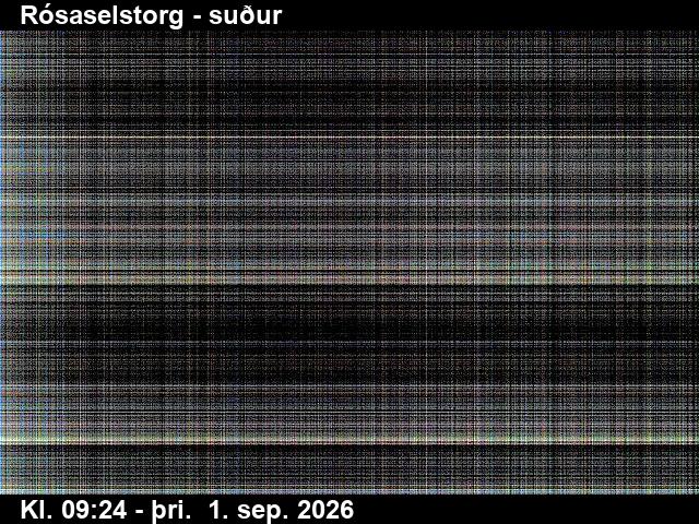 rosaselstorg_3-1788261961.jpg