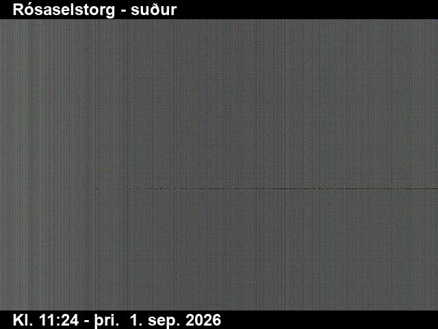 rosaselstorg_3-1788269151.jpg