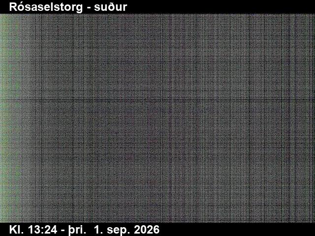 rosaselstorg_3-1788276350.jpg
