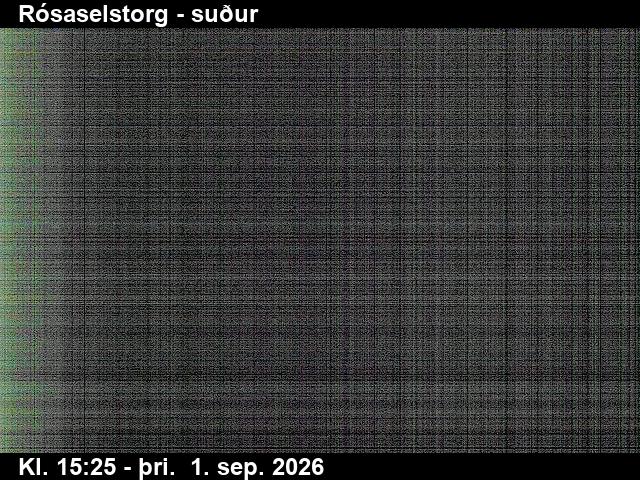 rosaselstorg_3-1788283574.jpg