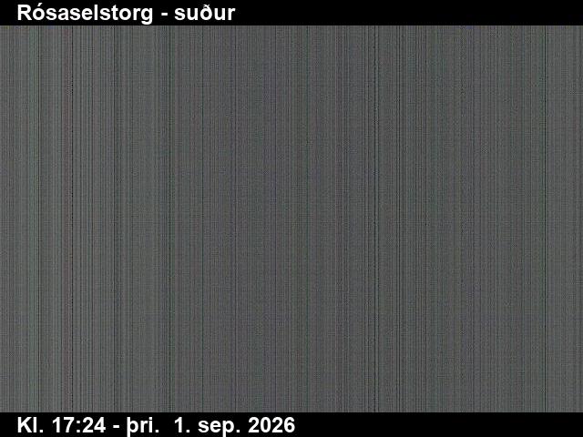 rosaselstorg_3-1788290760.jpg