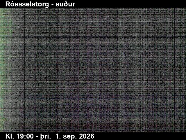 rosaselstorg_3-1788296549.jpg