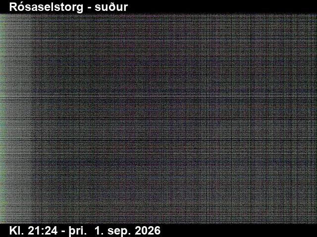 rosaselstorg_3-1788305135.jpg