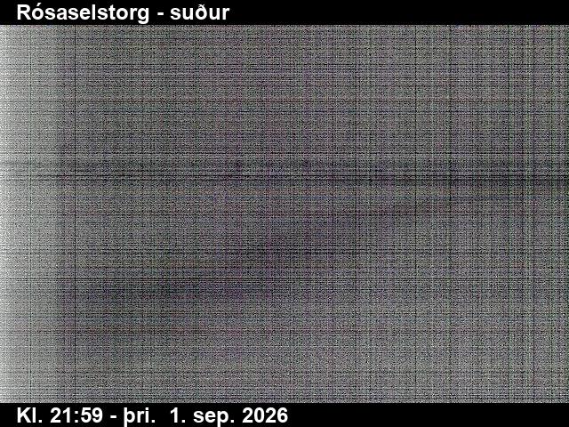 rosaselstorg_3-1788307305.jpg