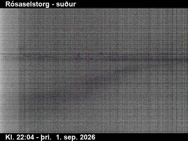 rosaselstorg_3-1788307595.jpg