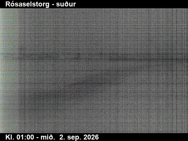 rosaselstorg_3-1788318143.jpg