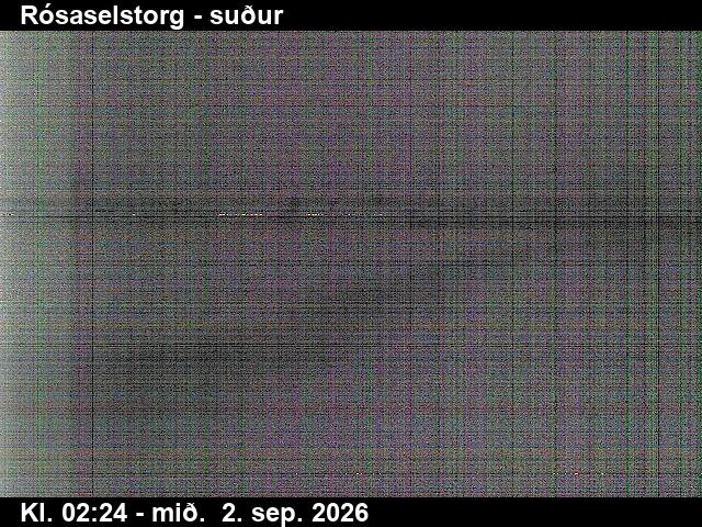 rosaselstorg_3-1788323160.jpg