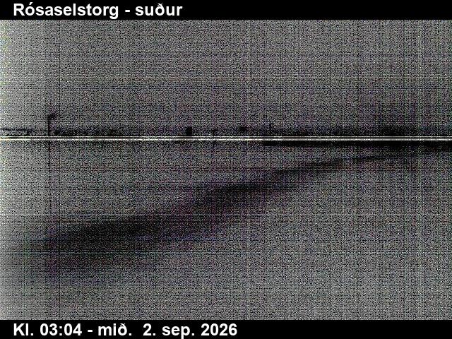 rosaselstorg_3-1788325566.jpg