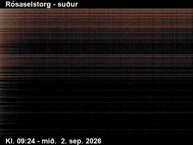rosaselstorg_3-1788348342.jpg