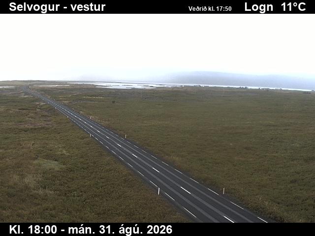 selvogur_1-1788206518.jpg