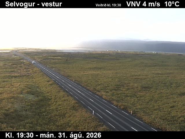 selvogur_1-1788212274.jpg