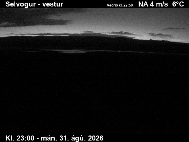 selvogur_1-1788224537.jpg