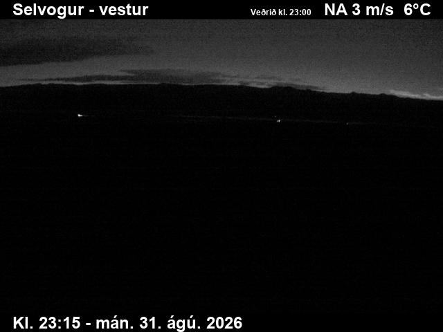 selvogur_1-1788225941.jpg