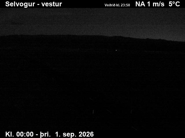 selvogur_1-1788228135.jpg