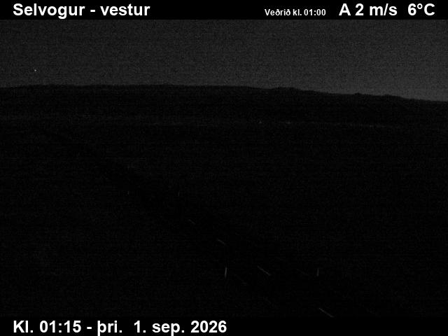 selvogur_1-1788233160.jpg