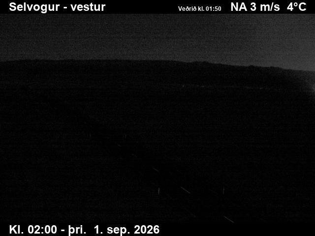 selvogur_1-1788235285.jpg