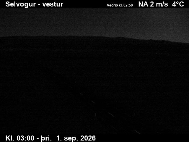 selvogur_1-1788238942.jpg
