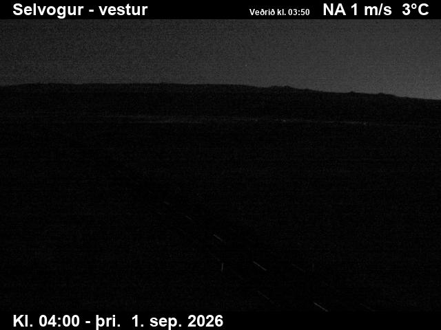 selvogur_1-1788242755.jpg