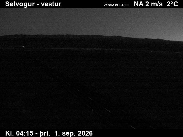 selvogur_1-1788243950.jpg