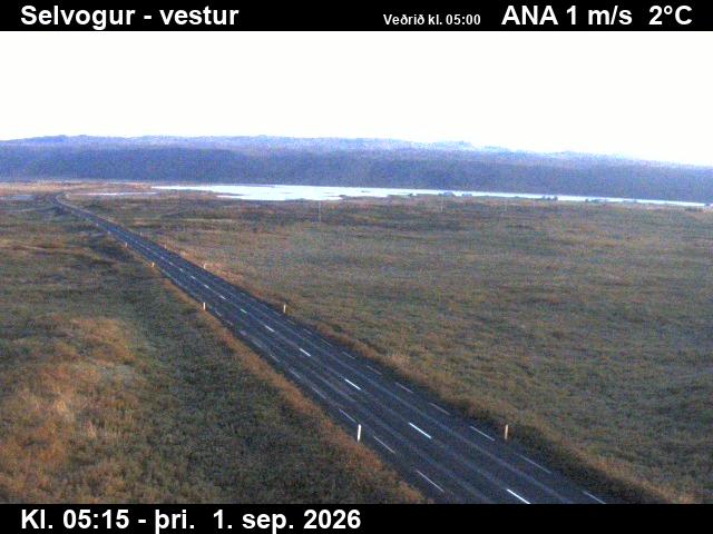 selvogur_1-1788247544.jpg