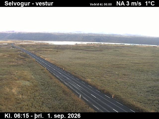 selvogur_1-1788251147.jpg