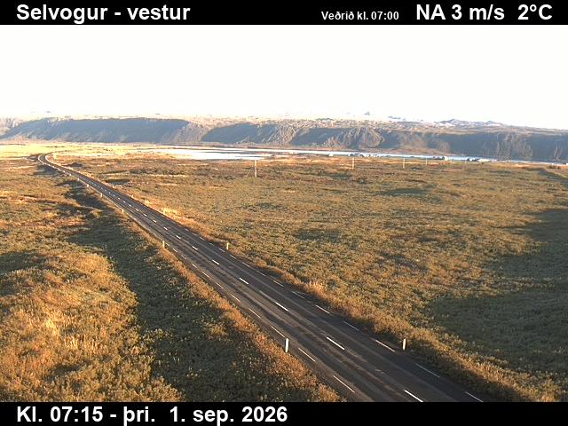 selvogur_1-1788254770.jpg